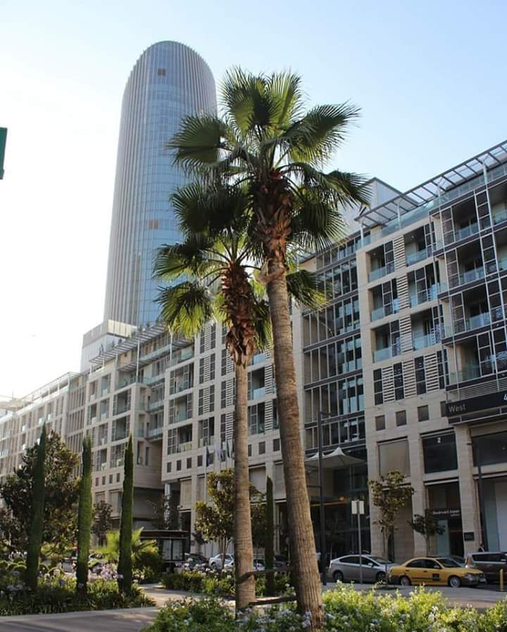 WhatsApp Image 2020-06-16 at 3.00.24 PM